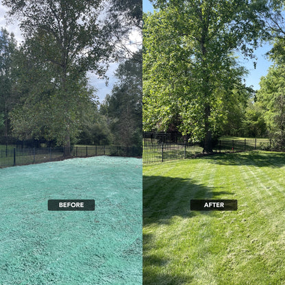NU-Lawn Roll (200 sq ft roll)