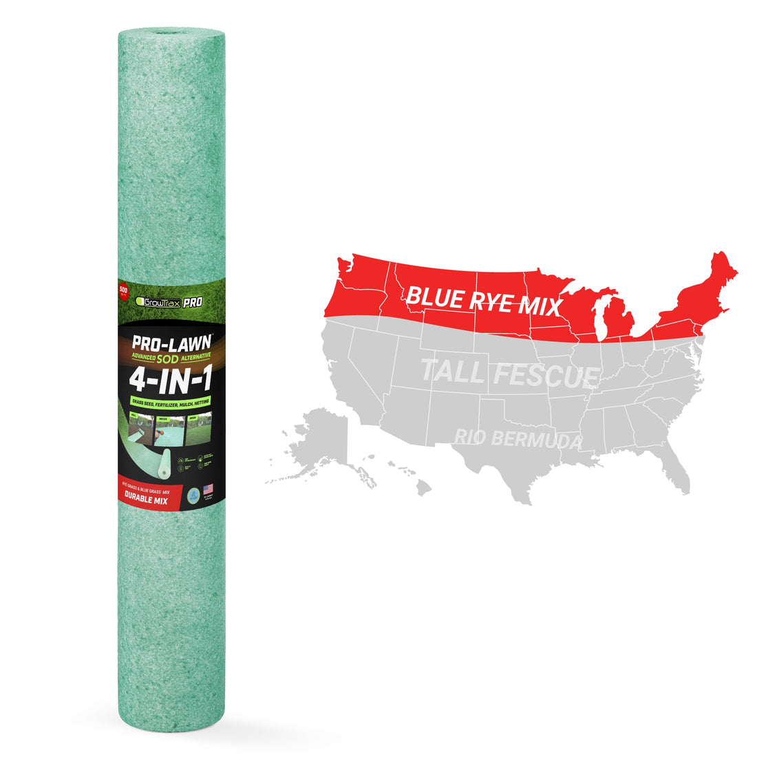 Rye & Blue Grass Mix