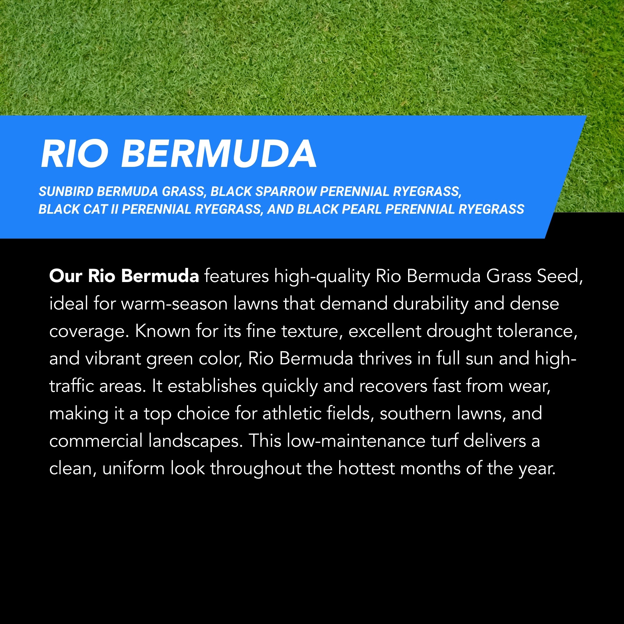 GrowTrax PRO-Lawn Large Area (500 SQFT)