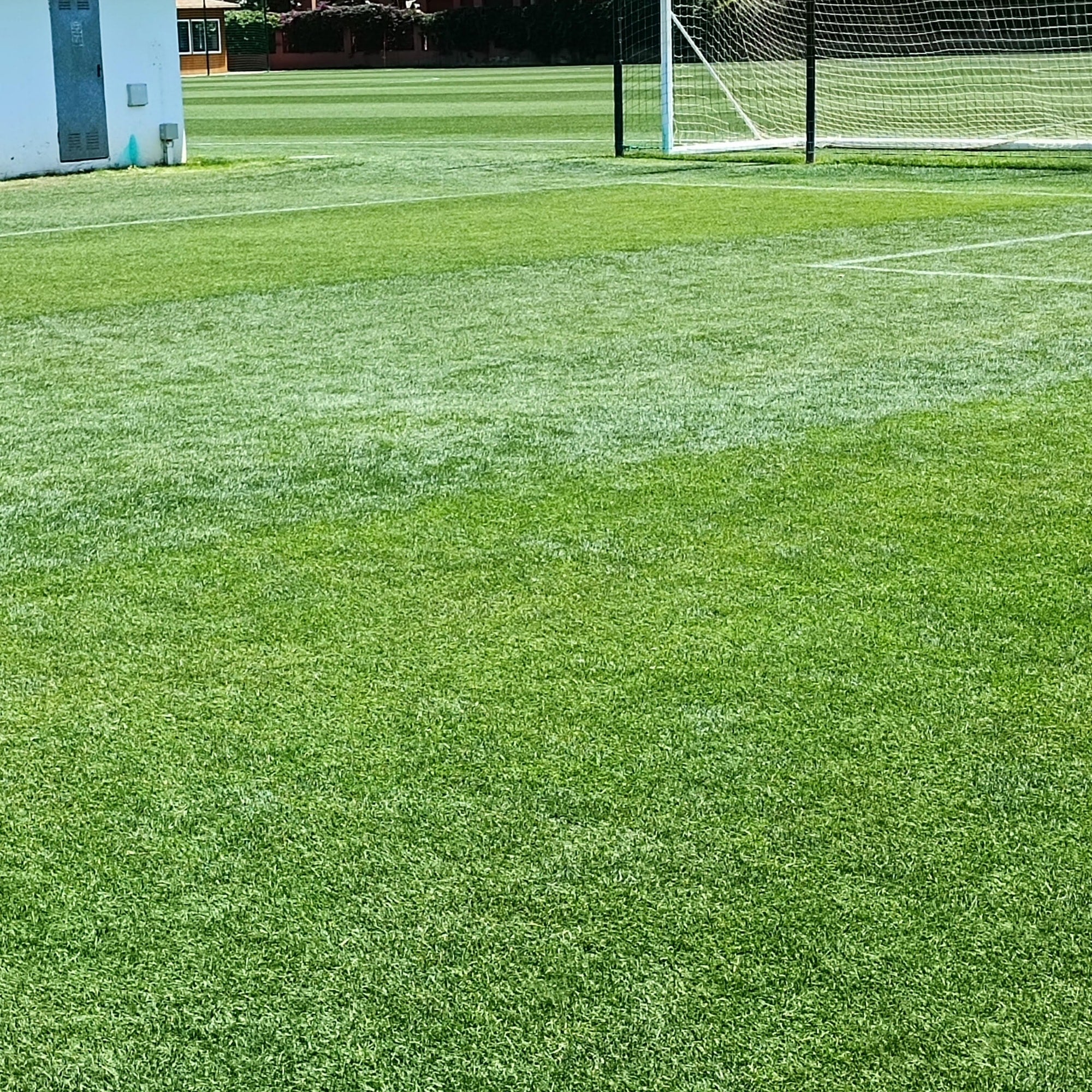 GrowTrax PRO-Lawn Large Area (500 SQFT)