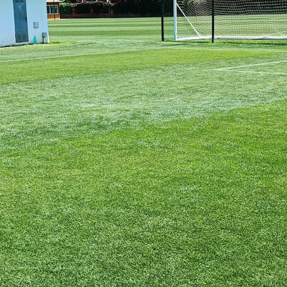 GrowTrax PRO-Lawn Large Area (500 SQFT)