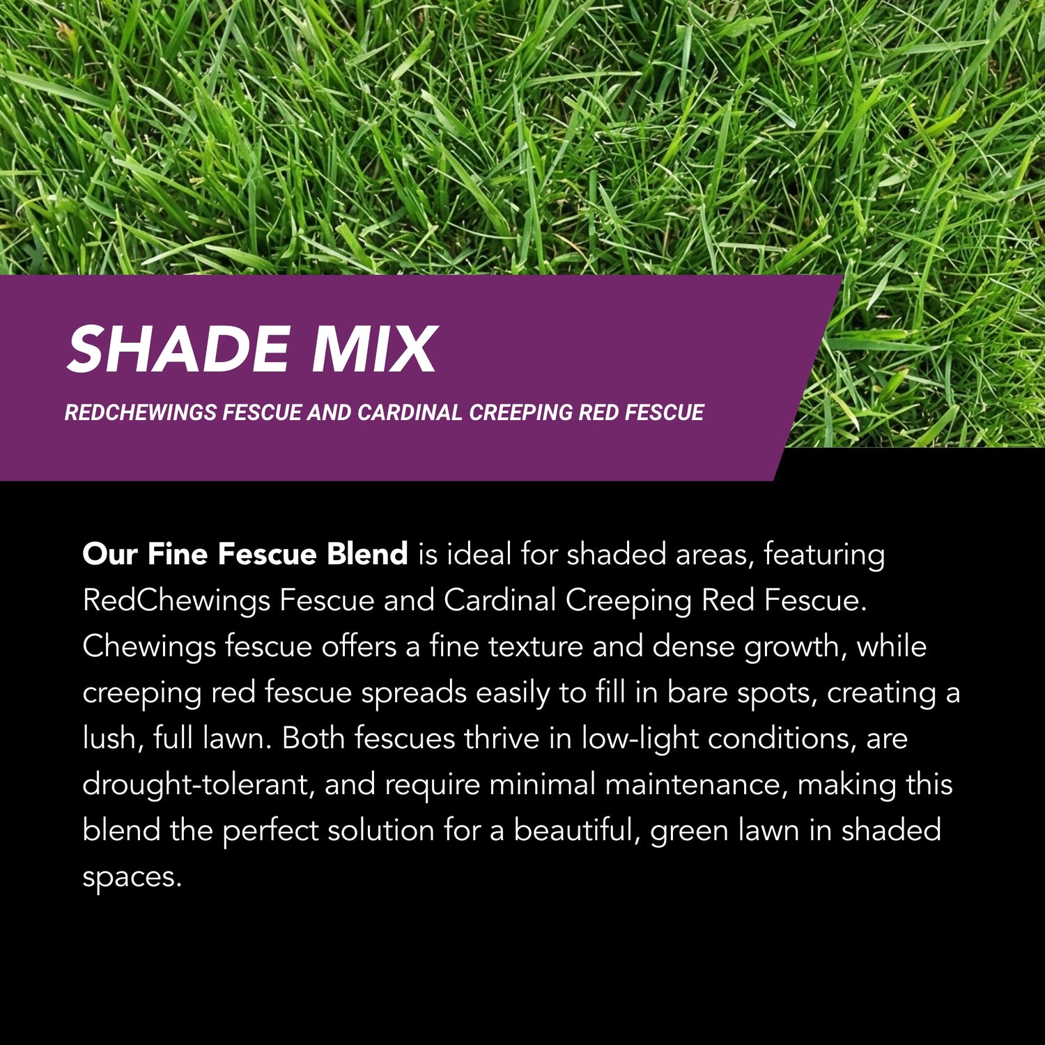 GrowTrax PRO Large Area (500 SQFT)