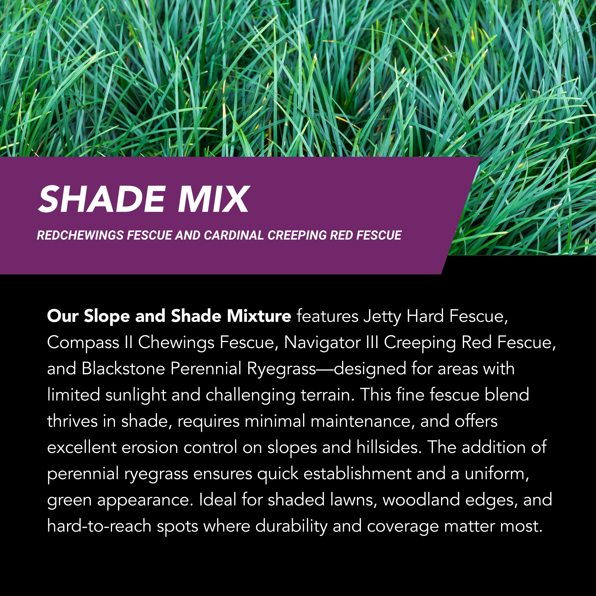 GrowTrax PRO-Lawn Large Area (500 SQFT)