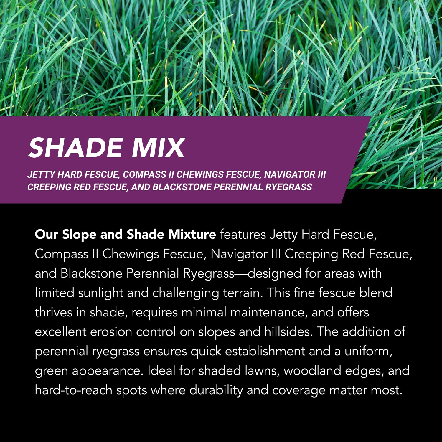 hydro grass seed lowe's GrowTrax PRO-Lawn Large Area (500 SQFT) Shade Mix