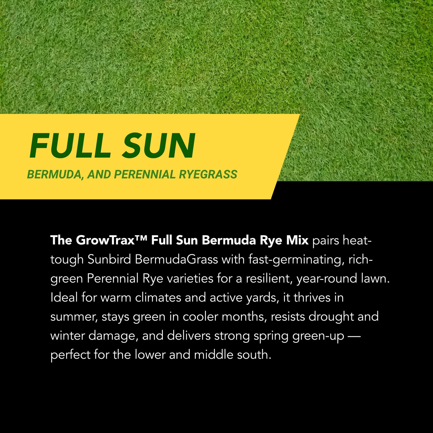 Lawn Repair (50 sq ft roll)