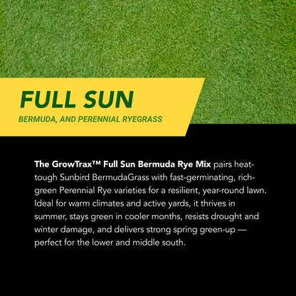 Lawn Repair (50 sq ft roll)