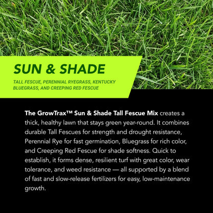 Lawn Repair (50 sq ft roll)