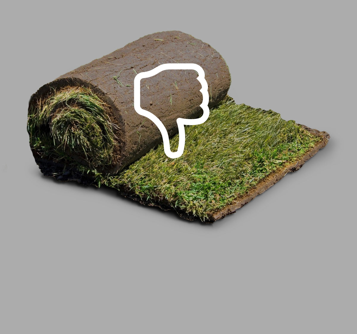 Turf Rall Growtrax New Lawn (200 sq ft roll) – Grotrax Grass