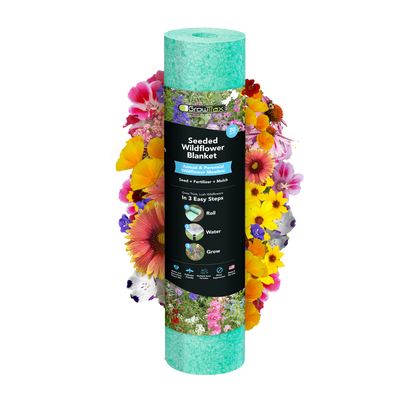 miracle gro wildflower seeds Annual & Perennial Wildflower Meadow – GrowTrax Grass