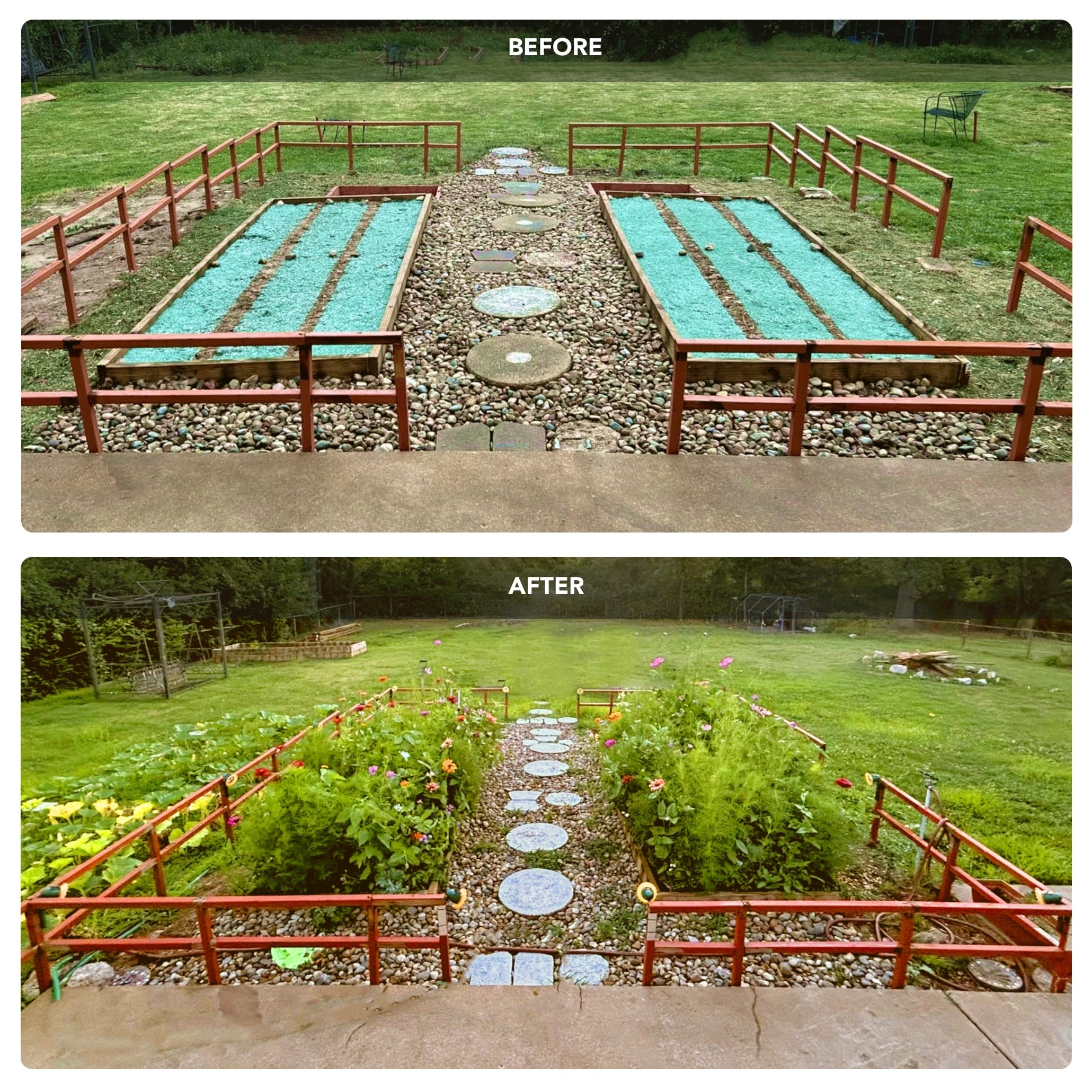 Annual & Perennial Wildflower Meadow – GrowTrax Grass