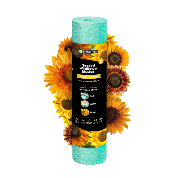 grotrax_wildflower_sunflower_1
