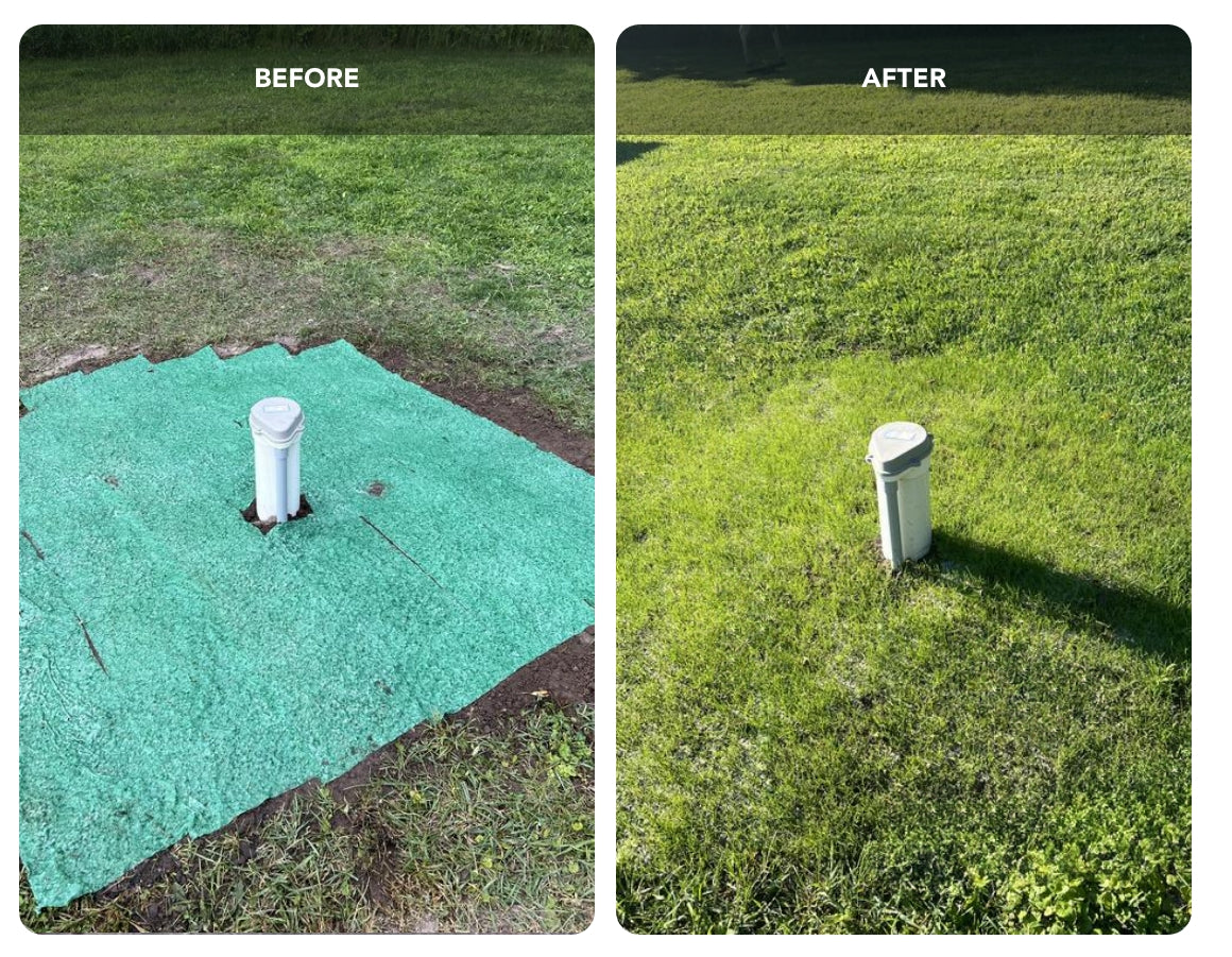 Lawn Repair Roll (50 sq ft roll) – GrowTrax Grass